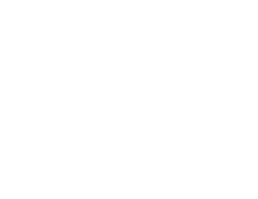 华润三九