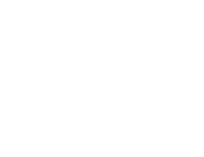 龙盈智达